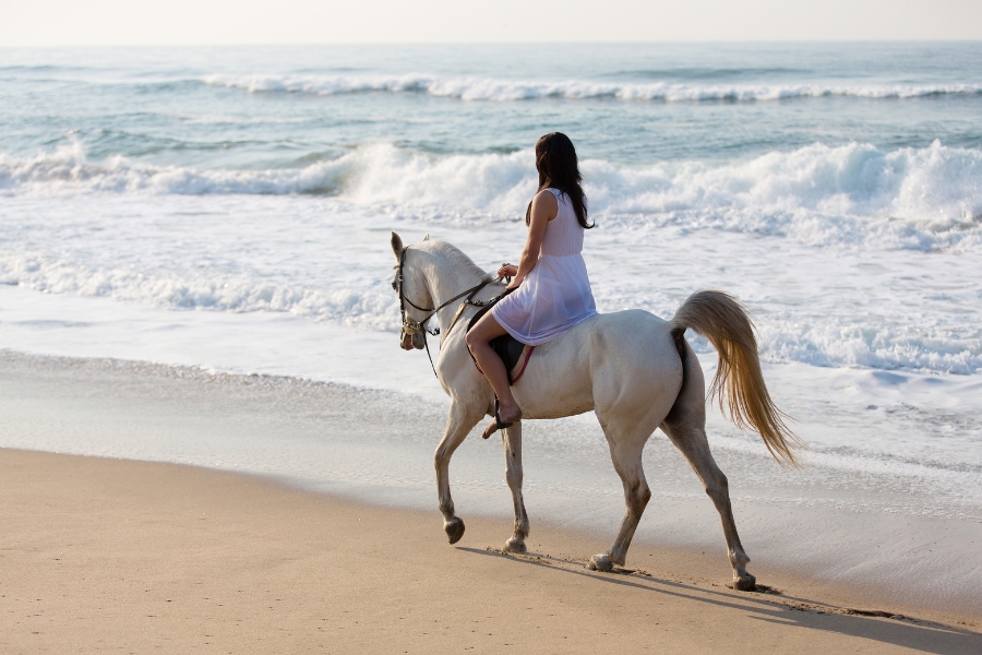 The Magic of Beach Horse Riding: Ride with the Waves