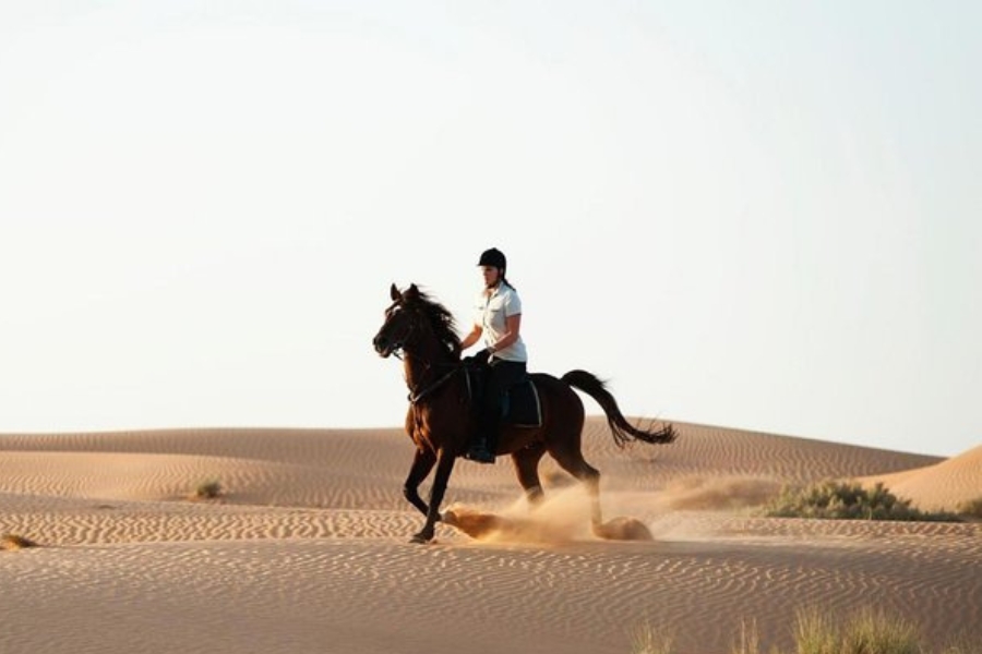 Desert Horse Riding: Feel the Spirit of the Sands