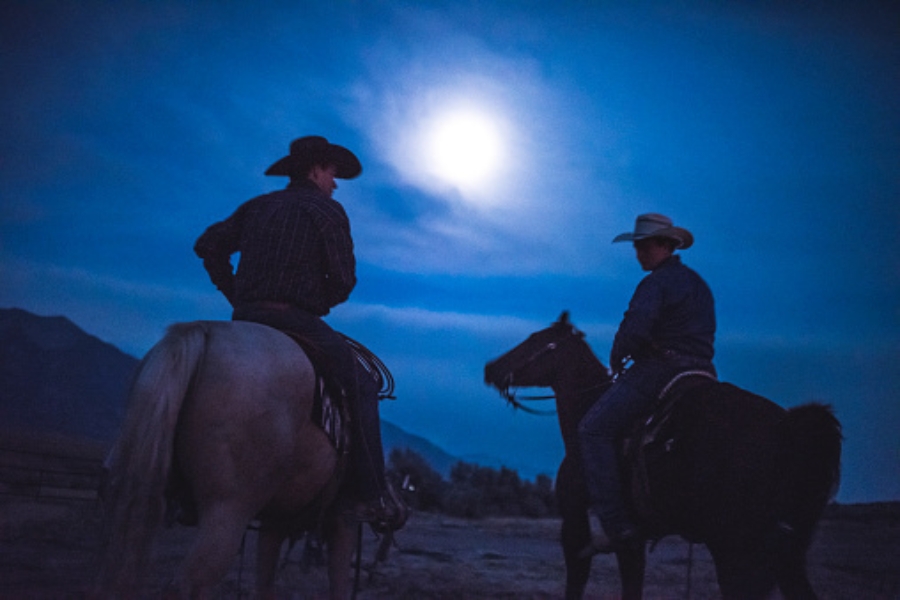 Full Moon & Group Horse Rides: Ride Under the Stars